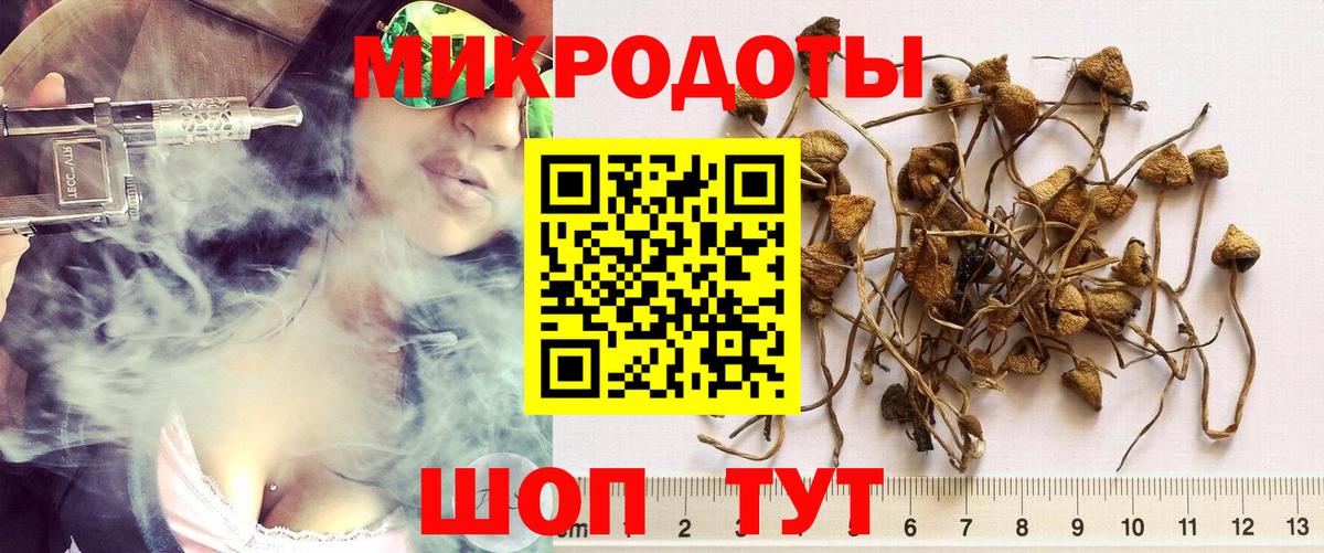 Псилоцибиновые грибы мухоморы  Вход с VPN  Строитель 